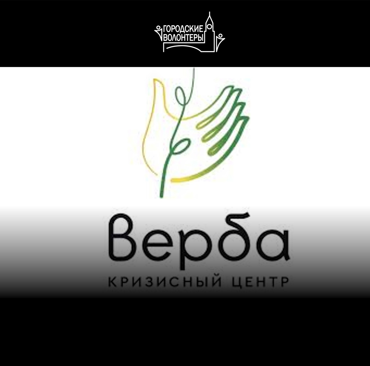 День рождения Кризисного центра «Верба»